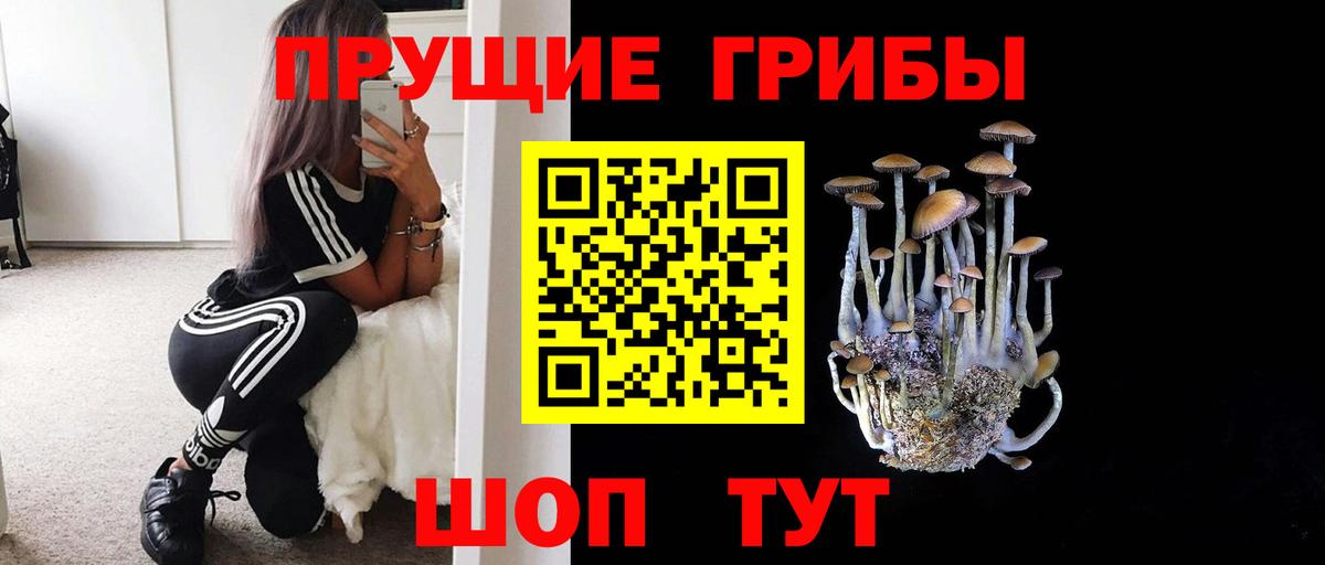 Камень-на-Оби  Псилоцибиновые грибы мухоморы  Вход с VPN 